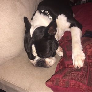 Meet your Posher, Rebeca